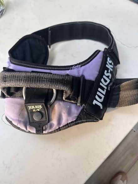 Photo of free Dog harness. Size L/1 (W13) #1