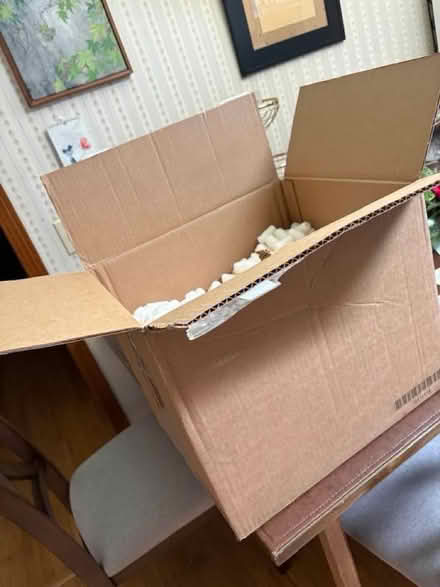 Photo of free Box w/ packing peanuts (NW Santa Rosa nr. Finley Ctr.) #1