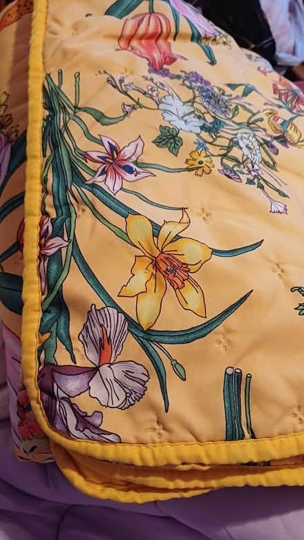 Photo of free Sheets and quilt (Chineham RG24) #1