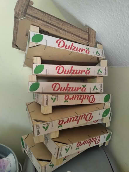 Photo of free Wooden strawberry crates (IG11 Barking) #1