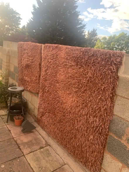 Photo of free Rugs (Yardley B25) #4