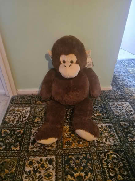 Photo of free Soft toy (Orpington BR5) #1