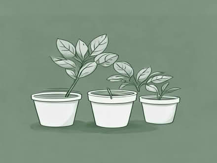Photo of Plastic Plant Pots Small Sizes (Trench TF2) #1