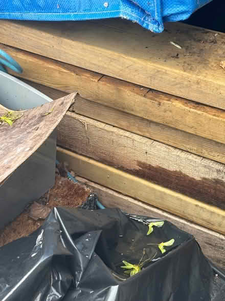 Photo of free Lots of different kinds of wood (Lakes Estate MK2) #1