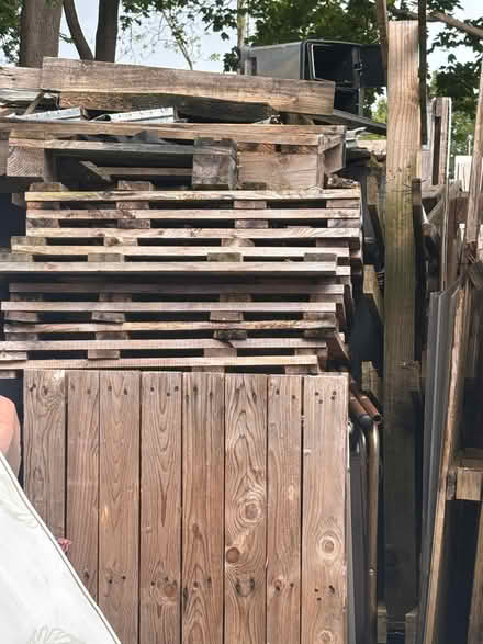 Photo of free Lots of different kinds of wood (Lakes Estate MK2) #2
