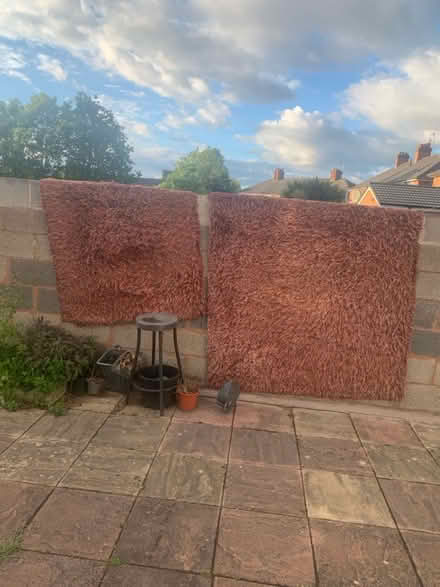 Photo of free Rugs (Yardley B25) #1