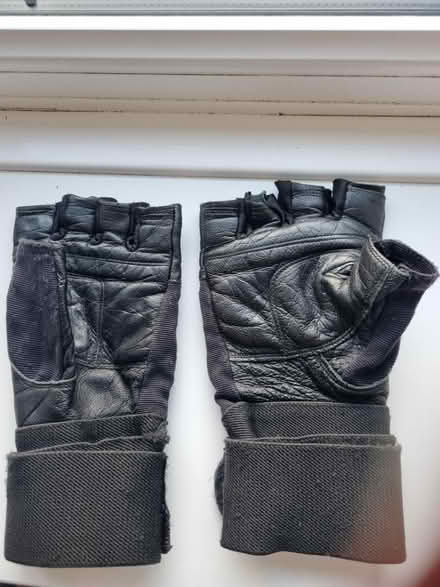 Photo of free Gym gloves (SE20) #3