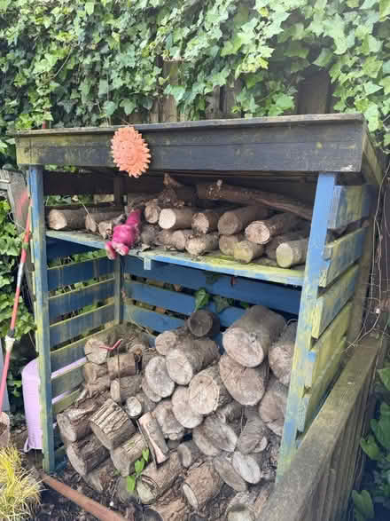 Photo of free Log shed and logs (Cold Harbour OX1) #1