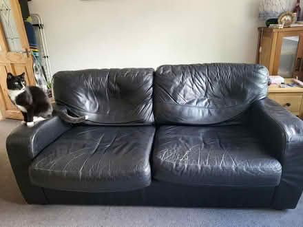 Photo of free Leather sofa bed (Edenbridge) #1