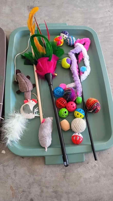 Photo of free Cat toy mega collection (Villages of Rolesville) #1