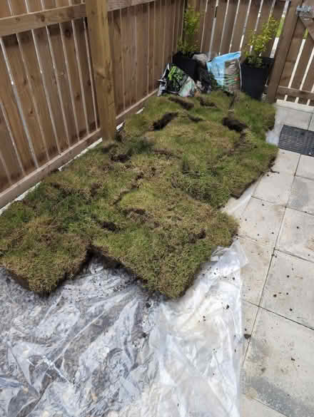 Photo of free Top soil / Grass (North shields NE29) #3