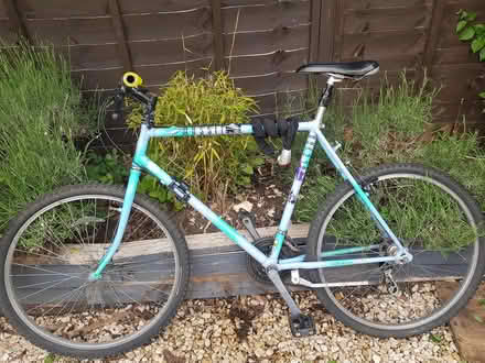 Photo of free Raleigh massif (Oxford) #1