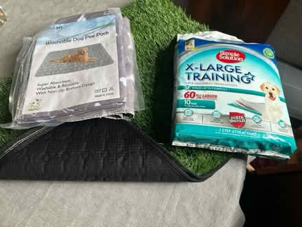 Photo of free Puppy/dog pee training items (Herne Hill SE24) #1