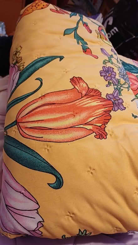 Photo of free Sheets and quilt (Chineham RG24) #2