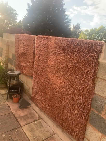 Photo of free Rugs (Yardley B25) #2