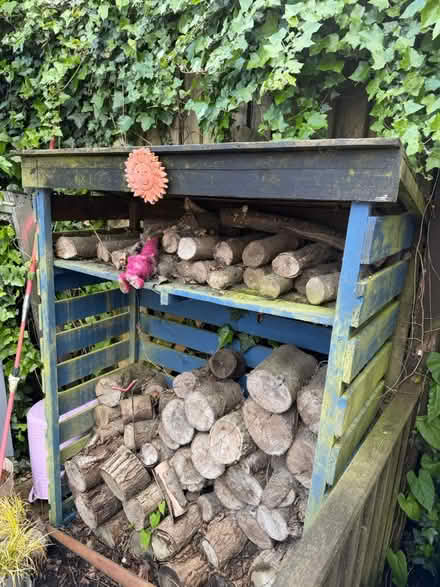 Photo of free Log shed and logs (Cold Harbour OX1) #2
