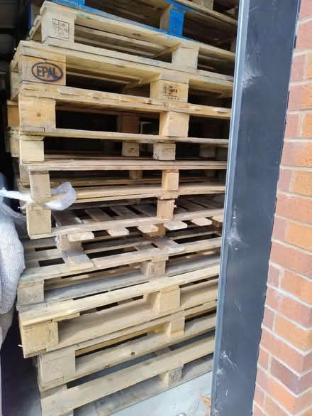 Photo of free Pallets (Street BA16) #1