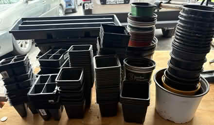 Photo of free Plastic plant pots (Prince of Wales at Meadowlands) #2