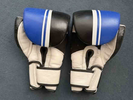Photo of free Boxing gloves (Round Hill BN2) #1
