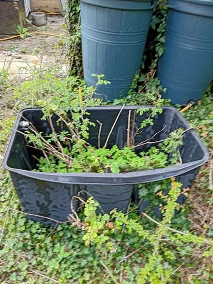 Photo of free Water tank (Flordon NR15) #2