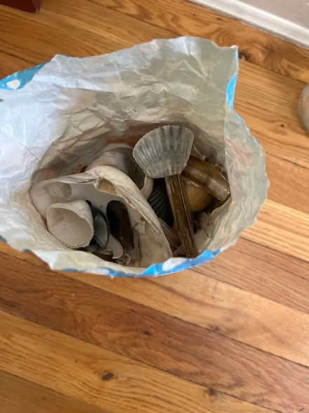 Photo of free Bag of shells (Wheaton) #1