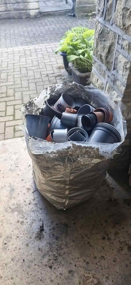 Photo of free Plant Pots (Golcar) #1