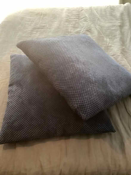 Photo of free Cushions (Lower Earley RG6) #3