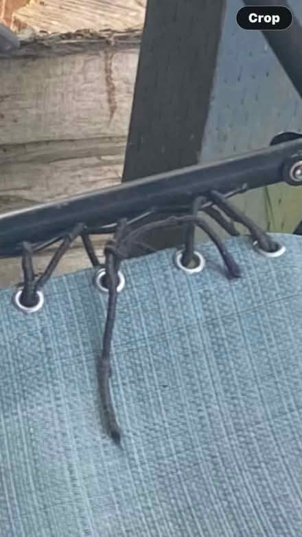 Photo of free Reclining camping chair (Delridge West Seattle) #2