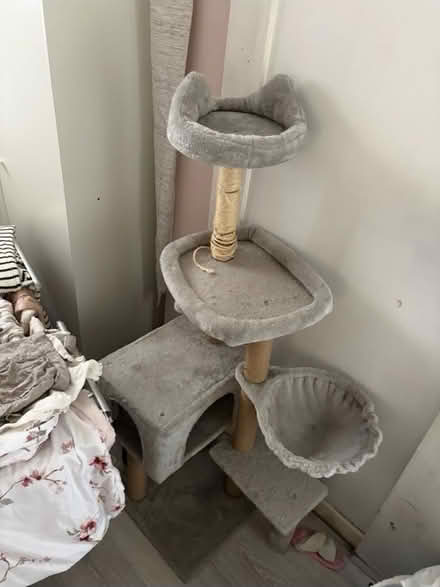 Photo of free cat tree (Ellesmere Port CH66 3QH) #1