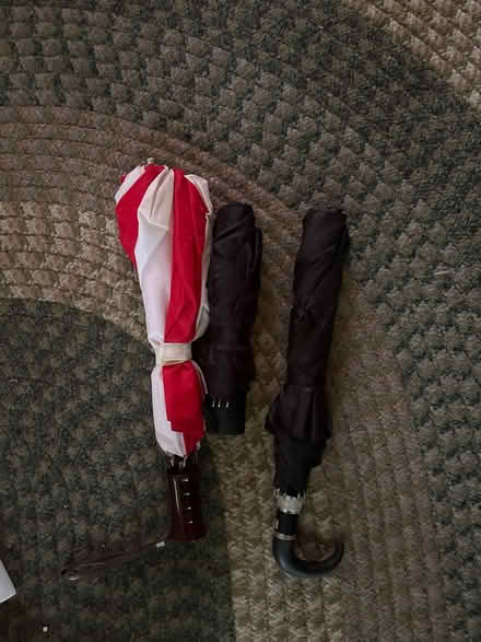 Photo of free Umbrellas (Croton-on-Hudson) #2