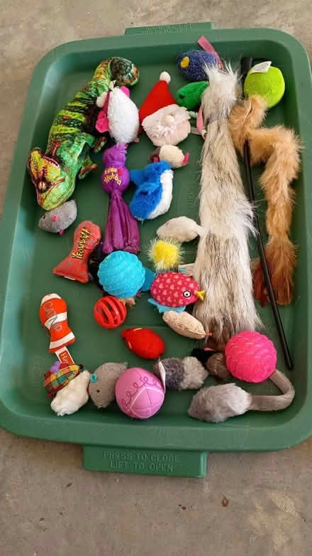 Photo of free Cat toy mega collection (Villages of Rolesville) #3