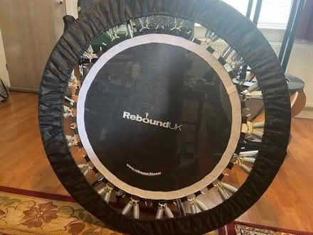 Photo of free Rebounder Exerciser (Upper Kinneil Farm EH51) #1