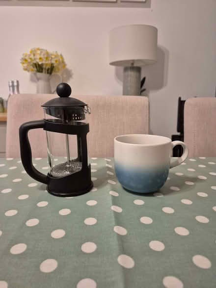Photo of free Small cafetière (Dursley GL11) #1