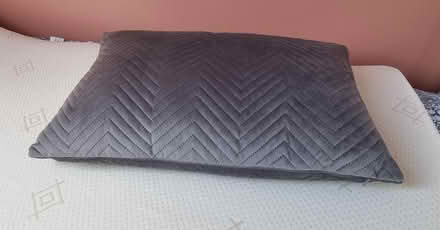 Photo of free Cushion/pillow (Oswestry SY11) #1
