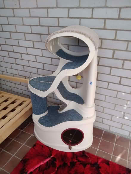 Photo of free Cat climbing tower (Kirkcaldy KY1) #1