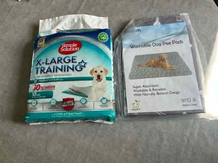 Photo of free Puppy/dog pee training items (Herne Hill SE24) #2