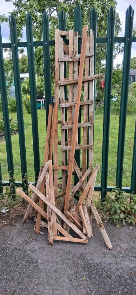Photo of free Trellis/Scrap wood (Carshalton, SM5) #1