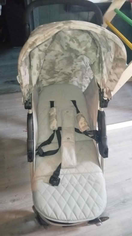 Photo of free Pushchair (Stone Cross BN23) #1