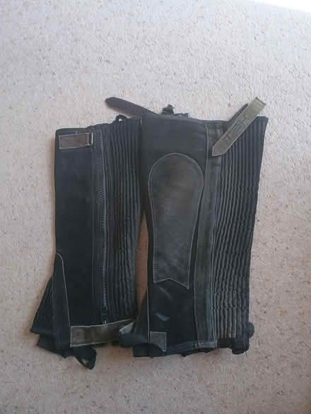 Photo of free Riding chaps (Farnham Common SL2) #1