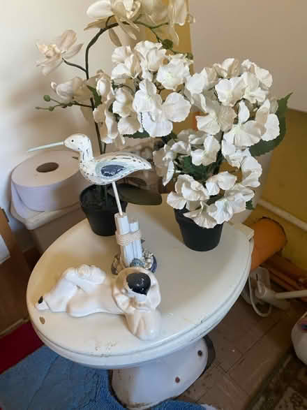 Photo of free Artificial plants and bird (B9 bordesley green) #2
