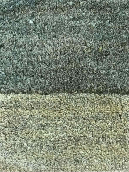 Photo of free two tone green rug (east hollywood) #1