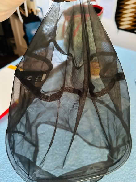 Photo of free Mosquito/Bee Net for Head (Heritage District, Sunnyvale) #1