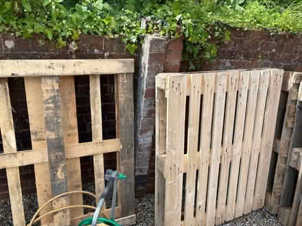 Photo of free Pallets (Chelston TQ2) #1