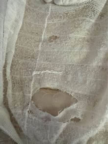 Photo of free Queen mattress protector (L5L 5P5) #4