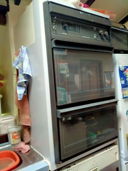 Photo of free Natural gas cooktop and oven (Shoalwater) #3