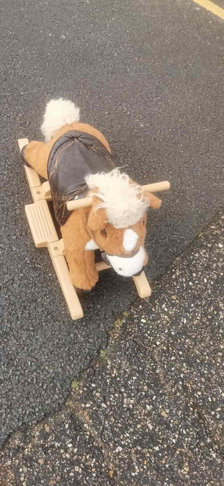 Photo of free Rocking horse (Parkstone BH14) #3