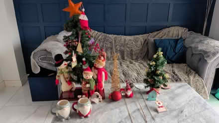 Photo of free Small Christmas Tree Bundle (TN25) #1