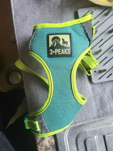 Photo of free Dog harness (Larkhall, bath) #1