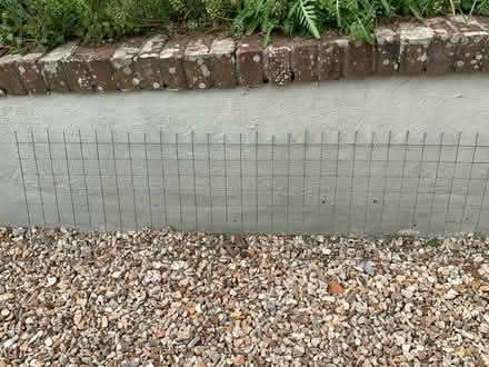 Photo of free 2” square wire mesh (TA3) #1