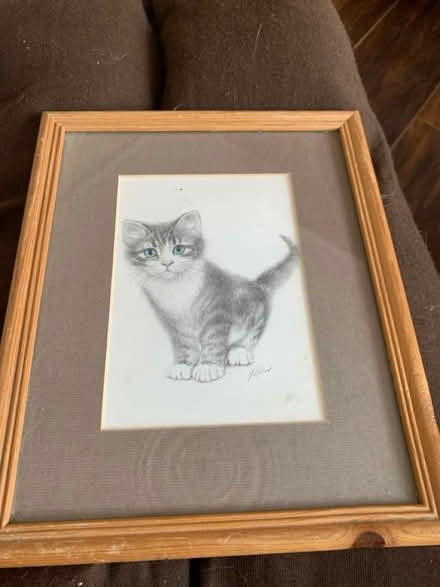 Photo of free Kitten picture (Southend on sea SS1) #1